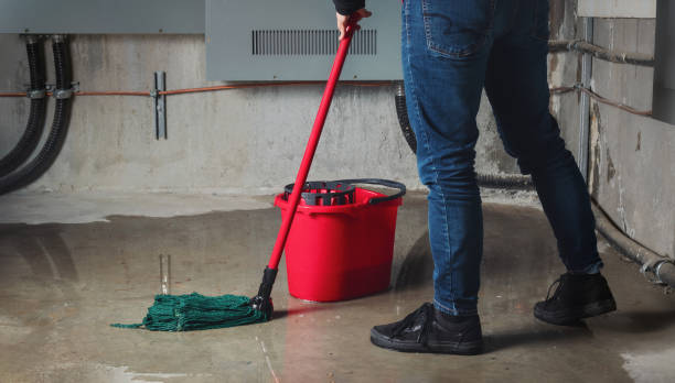 Best Emergency water damage restoration  in Clearwater, SC