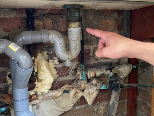 Best Sewage cleanup and water damage restoration  in Clearwater, SC